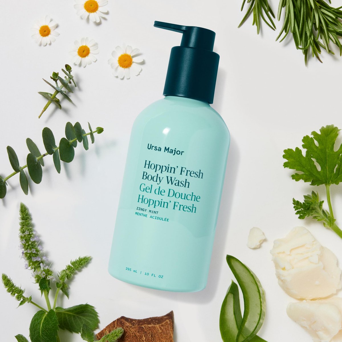 Ursa Major Hoppin’ Fresh Body Wash – Natural Body Wash for Men and Women, Sulfate-Free, Cruelty-Free, 10 oz Avelisse