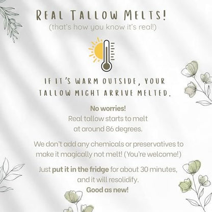 All Nat 7-Pack Whipped Grass-Fed Tallow Cream + Body Butter Sample Size Gift Set - .5 oz Travel Tins - SCENTED and Unscented - Hydrating, Clean Beauty Moisturizer for Sensitive Skin, Natural Skincare
