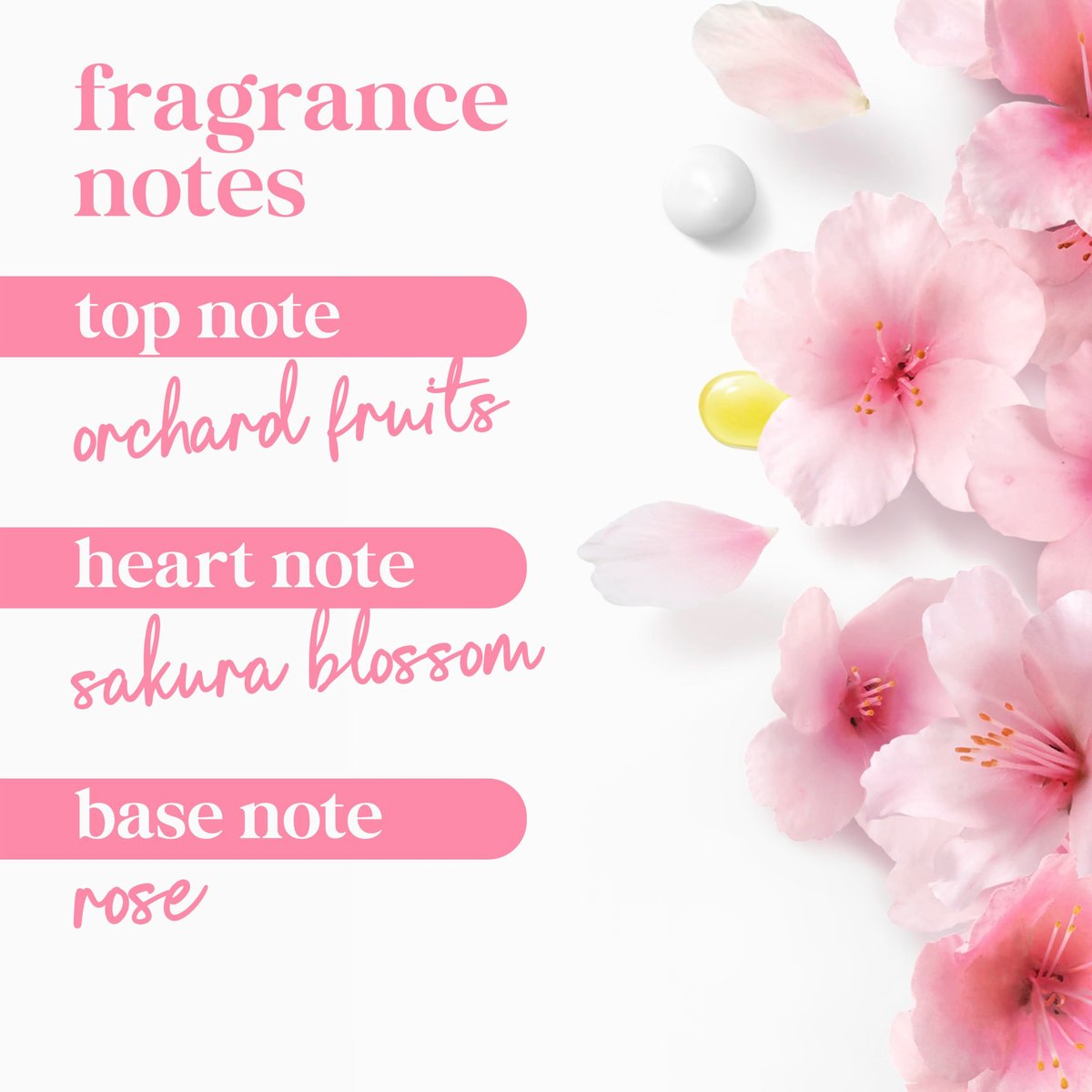 Dove Sakura Body Wash Uplift Sakura Blossom and Yuzu for 24hr Lotion-Soft Skin Moisturizing Skin Cleanser with No Sulfates No Parabens 30.6 Fl Oz Avelisse
