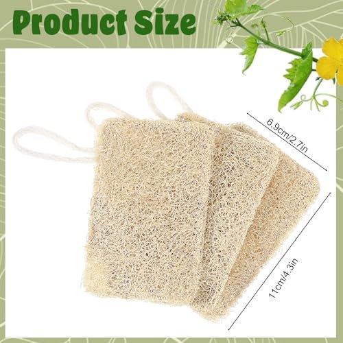 Elegaperma 3-Pack Natural Loofah Sponges – 100% Real Luffa for Dishwashing & Bath - görsel 3