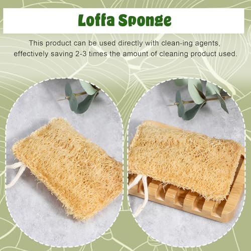 Elegaperma 3-Pack Natural Loofah Sponges – 100% Real Luffa for Dishwashing & Bath - görsel 11