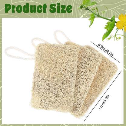 Elegaperma 3-Pack Natural Loofah Sponges – 100% Real Luffa for Dishwashing & Bath