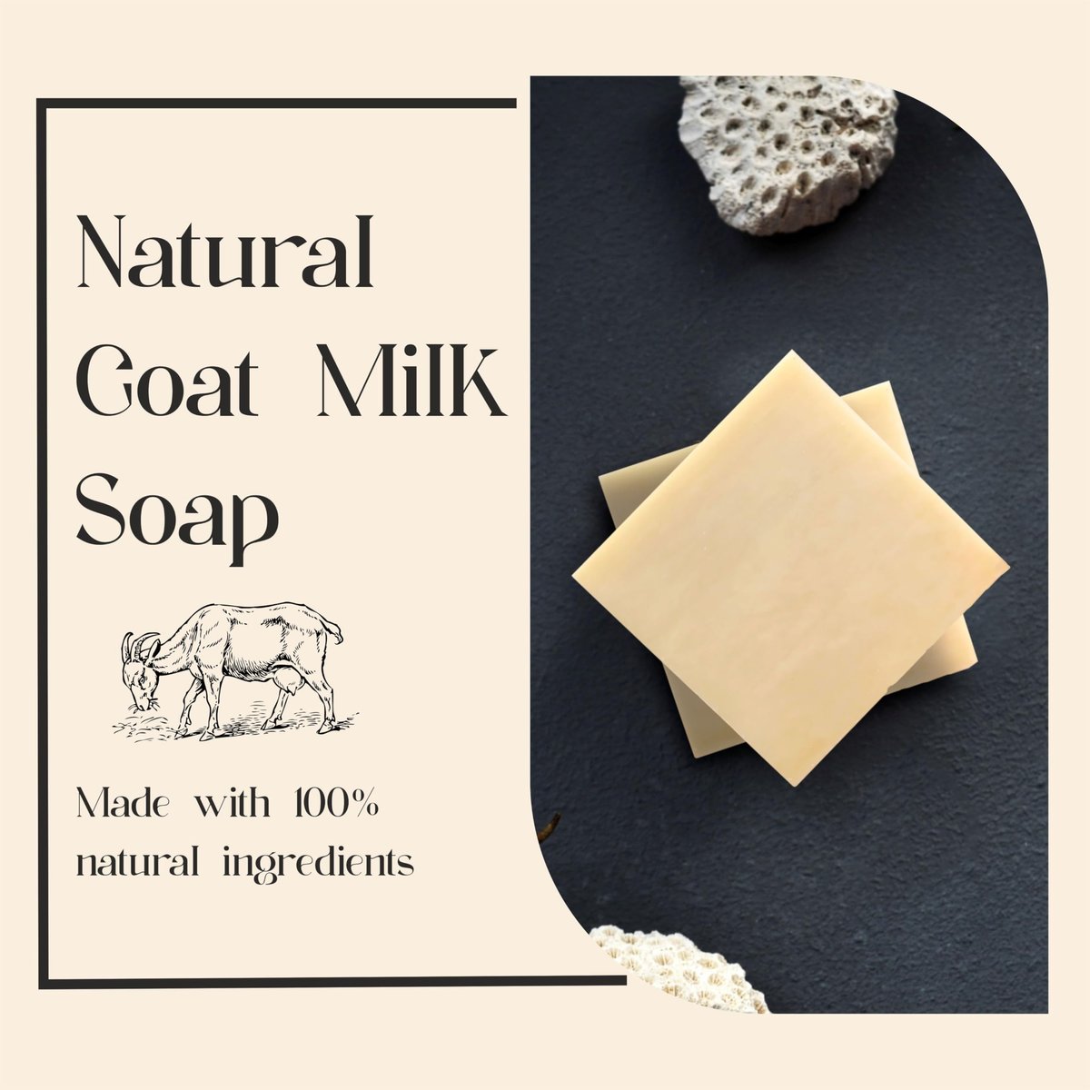 AnatoliaDaphne Natural Goat Milk Soap Bars - Handmade Moisturizing Bar Soap & Body Wash for Sensitive, Dry Skin - Gentle Hydrating Cleanser for Face & Body - 12 Pack (4.5 oz Each) - Light Almond Avelisse