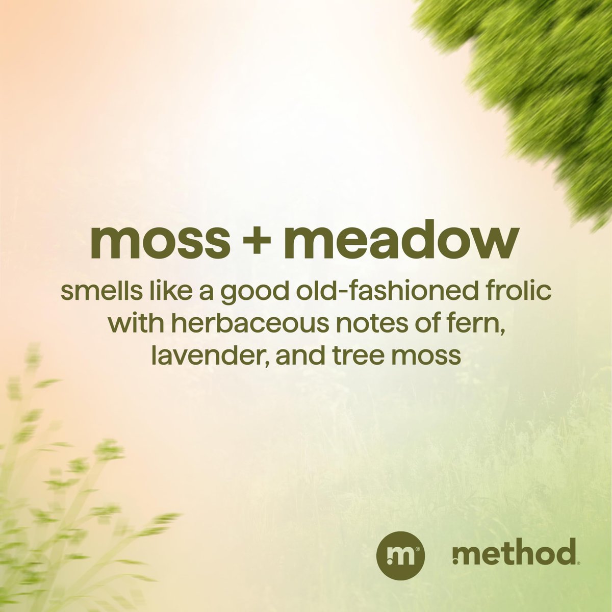 Method Men 2-in-1 Shampoo and Conditioner, Moss + Meadow - 14 oz - görsel 9