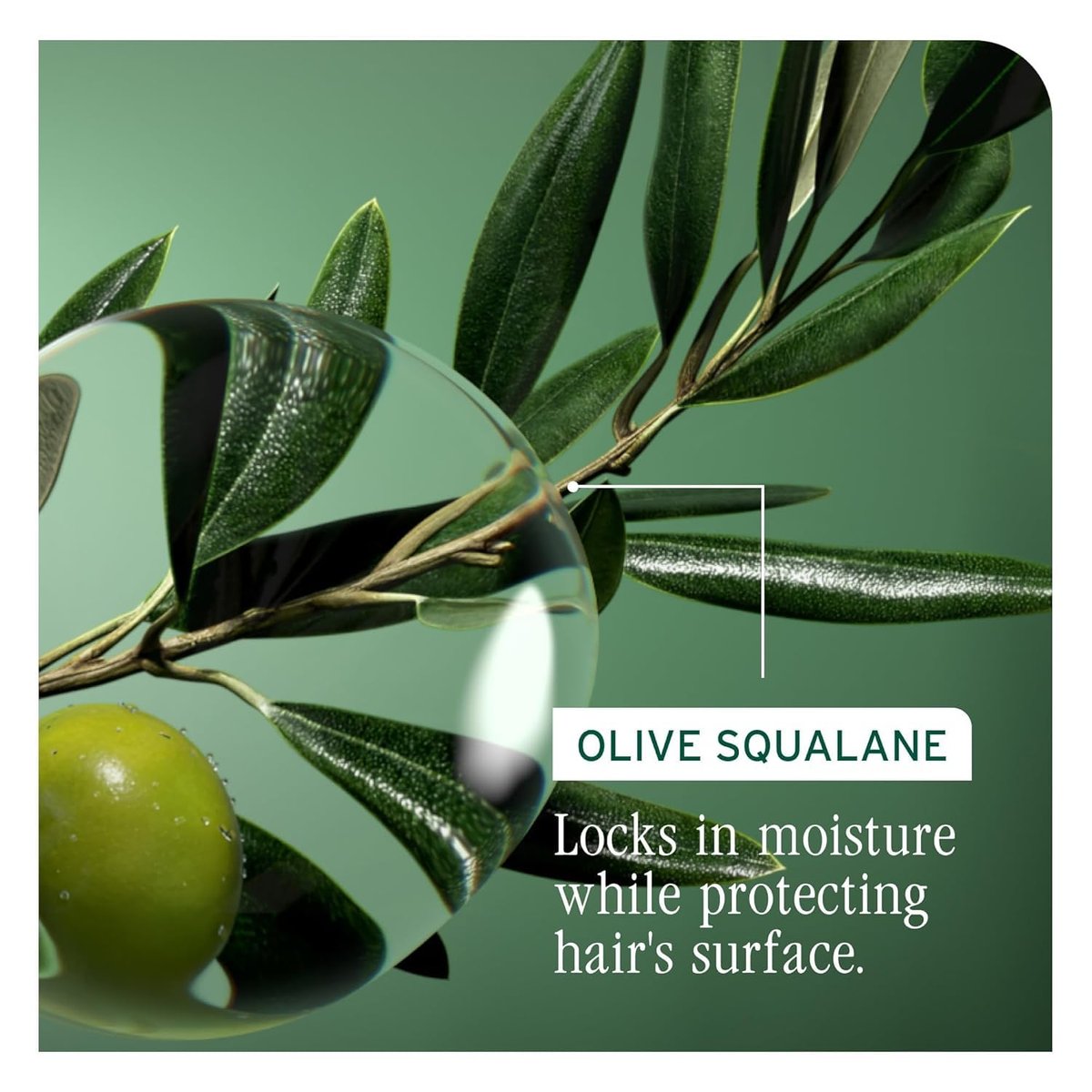 Biolage Winter Rescue Kit: Hydra Source & Strength Cure Mini Shampoo, Conditioner & Scalp Sync Concentrate for Healthy Scalp & Strong Hair Avelisse