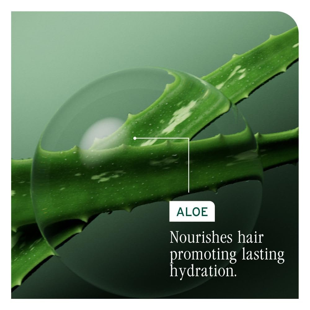 Biolage Winter Rescue Kit: Hydra Source & Strength Cure Mini Shampoo, Conditioner & Scalp Sync Concentrate for Healthy Scalp & Strong Hair Avelisse