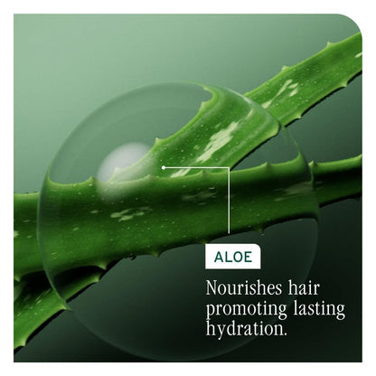 Biolage Winter Rescue Kit: Hydra Source & Strength Cure Mini Shampoo, Conditioner & Scalp Sync Concentrate for Healthy Scalp & Strong Hair Avelisse