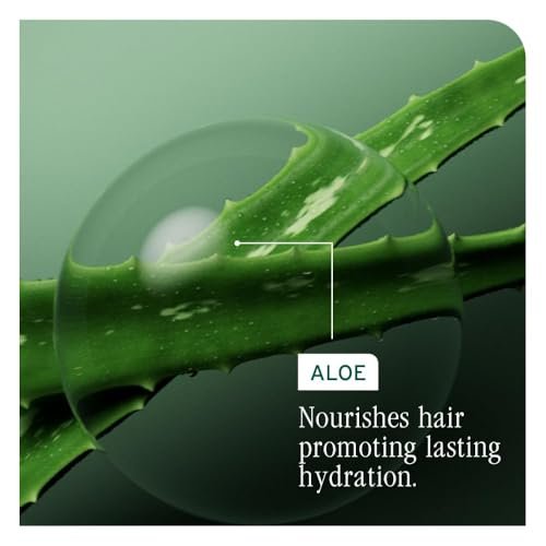 Biolage Winter Rescue Kit: Hydra Source & Strength Cure Mini Shampoo, Conditioner & Scalp Sync Concentrate for Healthy Scalp & Strong Hair Avelisse