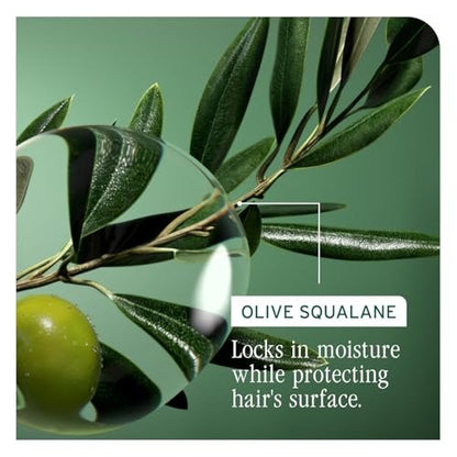 Biolage Winter Rescue Kit: Hydra Source & Strength Cure Mini Shampoo, Conditioner & Scalp Sync Concentrate for Healthy Scalp & Strong Hair Avelisse