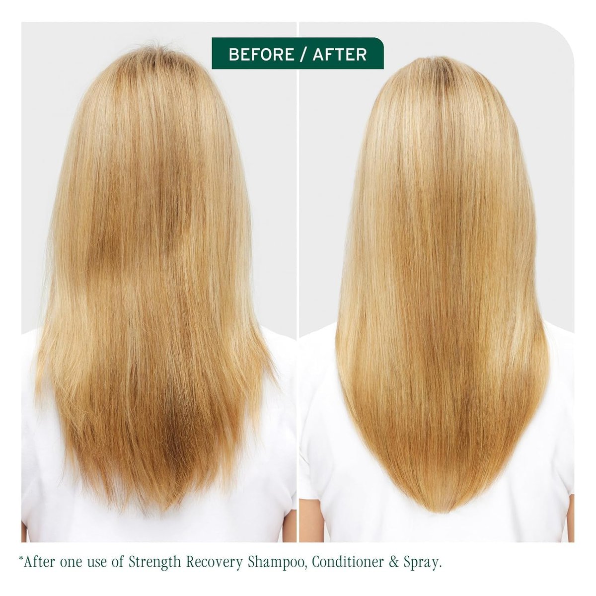 Biolage Winter Rescue Kit: Hydra Source & Strength Cure Mini Shampoo, Conditioner & Scalp Sync Concentrate for Healthy Scalp & Strong Hair Avelisse