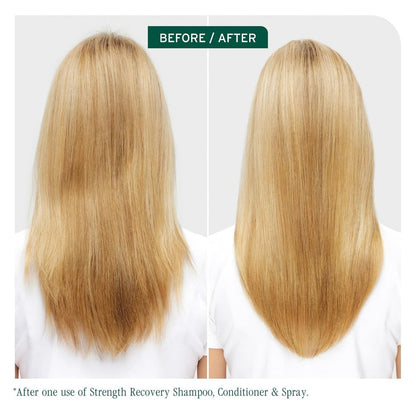 Biolage Winter Rescue Kit: Hydra Source & Strength Cure Mini Shampoo, Conditioner & Scalp Sync Concentrate for Healthy Scalp & Strong Hair Avelisse