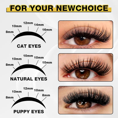 Self Adhesive Eyelashes - 150pcs No Glue Needed Eyelash Extensions 8-16mm Pre-Glued Lashes with Applicator Tweezers, Reusable Fake Eyelashes Clusters for Natural & Dramatic Looks for Beginners Avelisse
