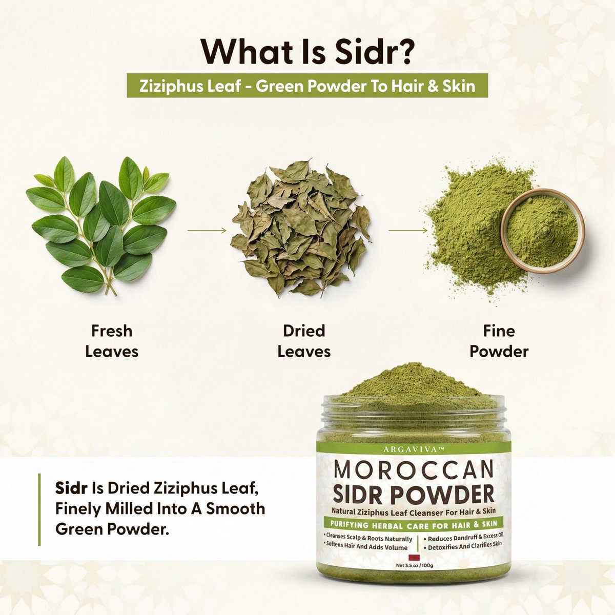 Argaviva Sidr Powder For Hair - Clarifying Sidr Leaves Powder Hair & Scalp Mask, Removes Buildup & Excess Oil, No Added Fragrance, 3.5 Oz Avelisse