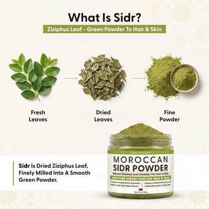 Argaviva Sidr Powder For Hair - Clarifying Sidr Leaves Powder Hair & Scalp Mask, Removes Buildup & Excess Oil, No Added Fragrance, 3.5 Oz Avelisse