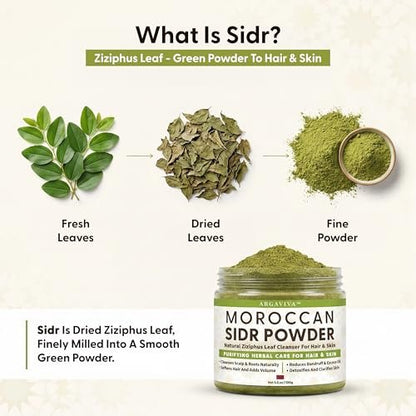 Argaviva Sidr Powder For Hair - Clarifying Sidr Leaves Powder Hair & Scalp Mask, Removes Buildup & Excess Oil, No Added Fragrance, 3.5 Oz Avelisse