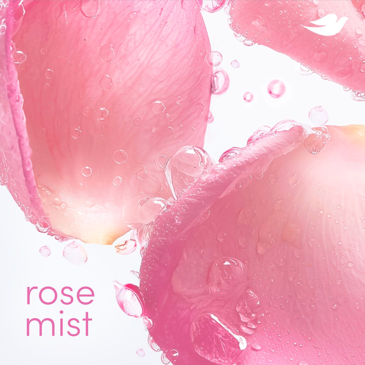 Dove Deodorant Stick Rose Mist - 72 Hour Odor Protection, Aluminum Free, 2.4 oz - görsel 7