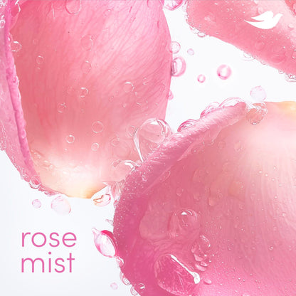 Dove Deodorant Stick Rose Mist - 72 Hour Odor Protection, Aluminum Free, 2.4 oz