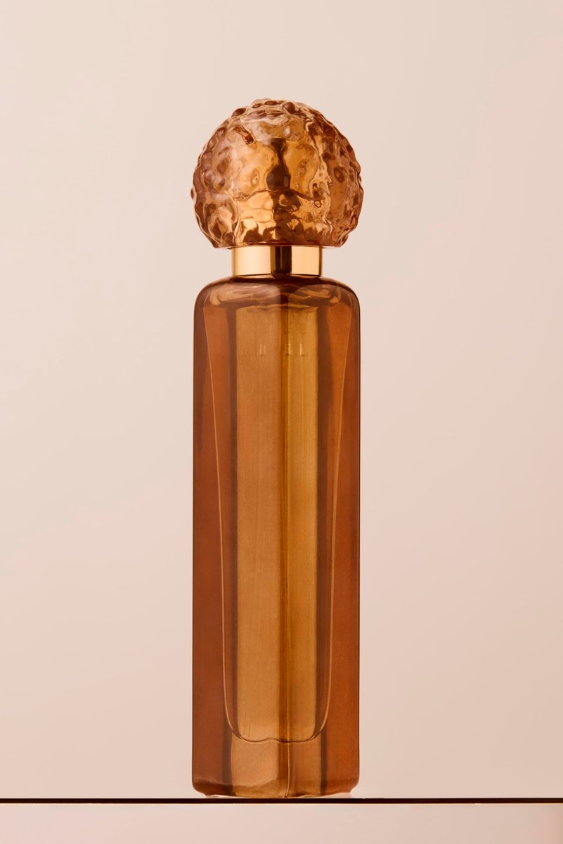 Fridays with Tab and Chance TRAVELER - HER BUSINESS Eau de Parfum, 1 Fl Oz Avelisse
