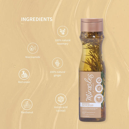 Herbal Miracle Rosemary Shampoo Salt-Free for Oily Hair – Anti Hair Loss & Hair Growth – Oil Control, Strengthening Formula with Amino Acids, Ginger & Red Onion Avelisse