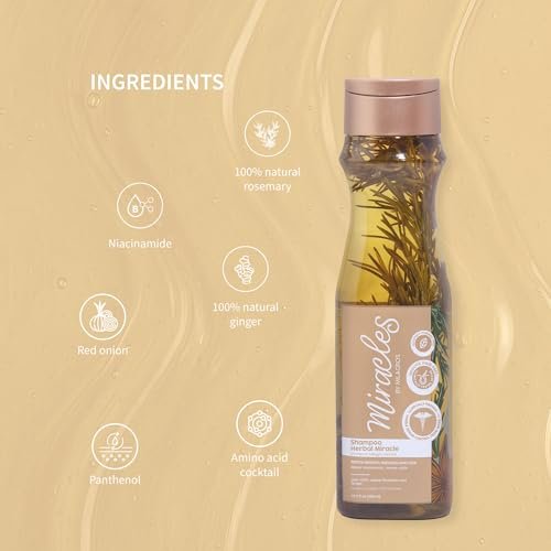 Herbal Miracle Rosemary Shampoo Salt-Free for Oily Hair – Anti Hair Loss & Hair Growth – Oil Control, Strengthening Formula with Amino Acids, Ginger & Red Onion Avelisse