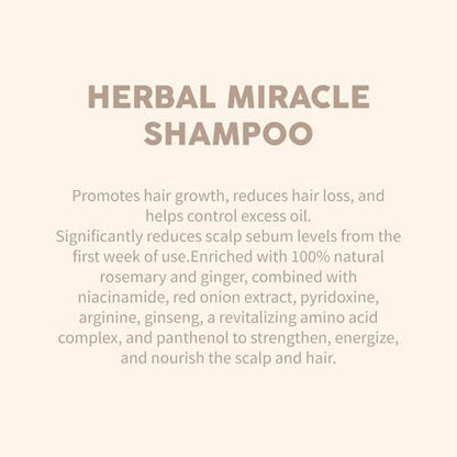 Herbal Miracle Rosemary Shampoo Salt-Free for Oily Hair – Anti Hair Loss & Hair Growth – Oil Control, Strengthening Formula with Amino Acids, Ginger & Red Onion Avelisse
