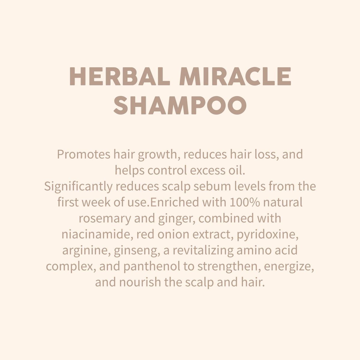 Herbal Miracle Rosemary Shampoo Salt-Free for Oily Hair – Anti Hair Loss & Hair Growth – Oil Control, Strengthening Formula with Amino Acids, Ginger & Red Onion Avelisse