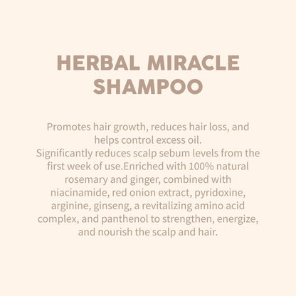 Herbal Miracle Rosemary Shampoo Salt-Free for Oily Hair – Anti Hair Loss & Hair Growth – Oil Control, Strengthening Formula with Amino Acids, Ginger & Red Onion Avelisse