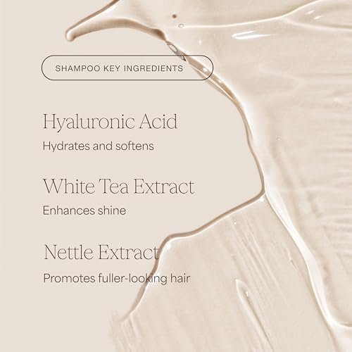 Raw Sugar Shampoo and Conditioner Set, The Volume Revive Hair Care Duo, 16 Fl Oz Each - Volumizing Haircare Bundle, SLS/SLES-Free, Paraben-Free, Color-Friendly, Vegan Avelisse