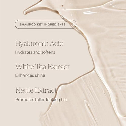 Raw Sugar Shampoo and Conditioner Set, The Volume Revive Hair Care Duo, 16 Fl Oz Each - Volumizing Haircare Bundle, SLS/SLES-Free, Paraben-Free, Color-Friendly, Vegan Avelisse