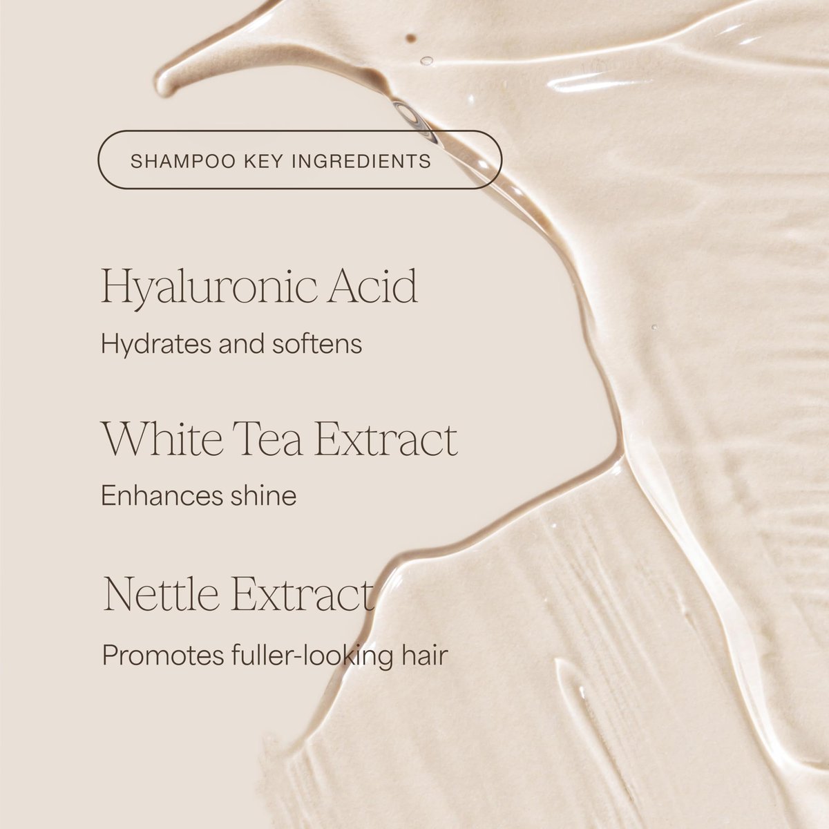 Raw Sugar Shampoo and Conditioner Set, The Volume Revive Hair Care Duo, 16 Fl Oz Each - Volumizing Haircare Bundle, SLS/SLES-Free, Paraben-Free, Color-Friendly, Vegan Avelisse