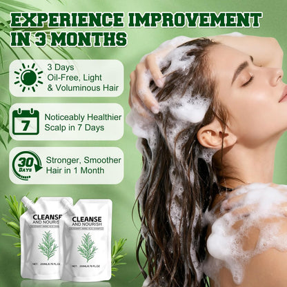 Rosemary Amino Acid Shampoo for Hair Growth – Thinning Hair Shampoo for Women and Men – Controls Oil, Strengthens Scalp – Natural Formula, 2-Pack (6.76 fl oz Total) Avelisse