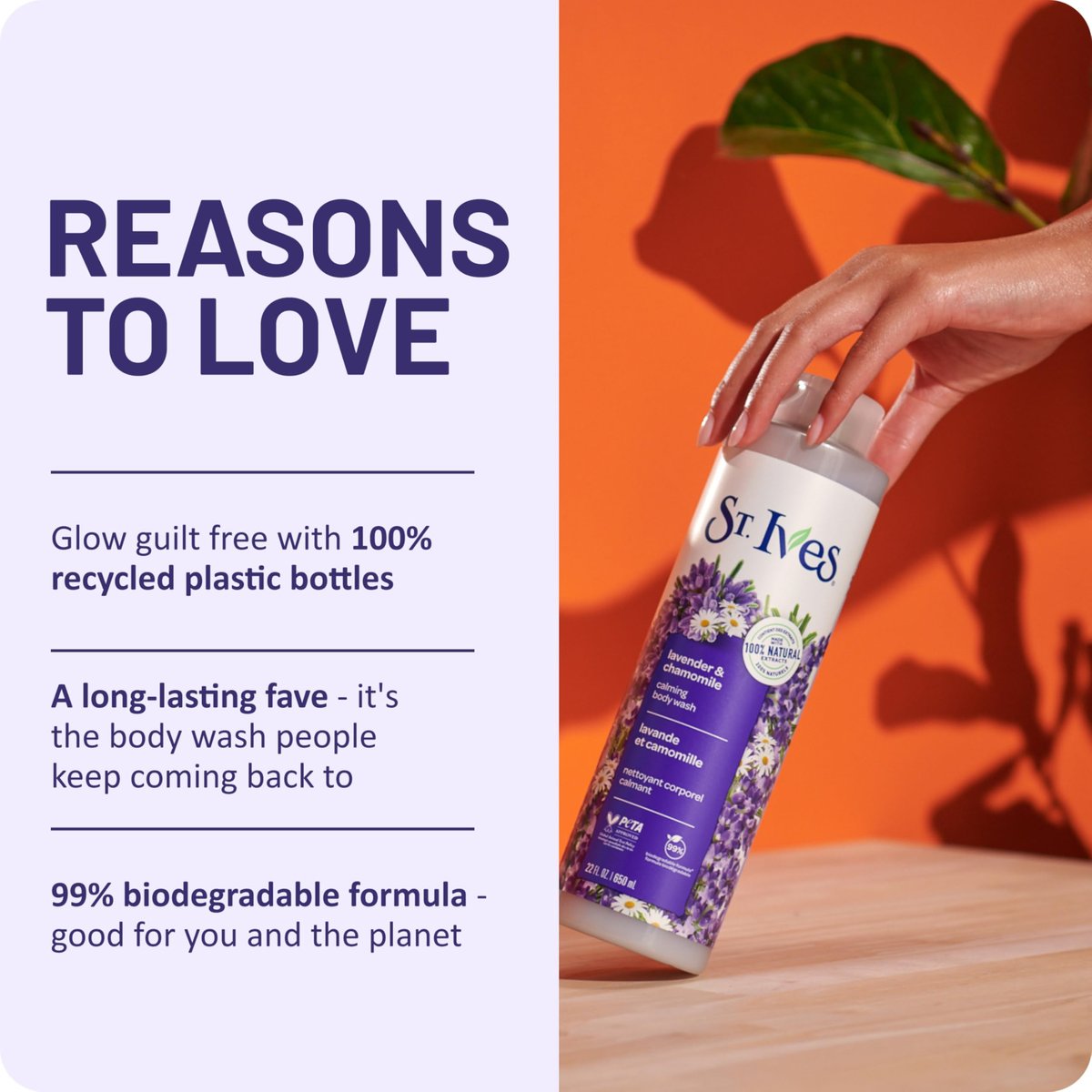 St. Ives Lavender & Chamomile Body Wash – Calming Body Care with 100% Natural Extracts, Moisturizing Body Soap, Daily Shower Gel Cleanser, Relaxing Floral Fragrance, 22 oz - görsel 13