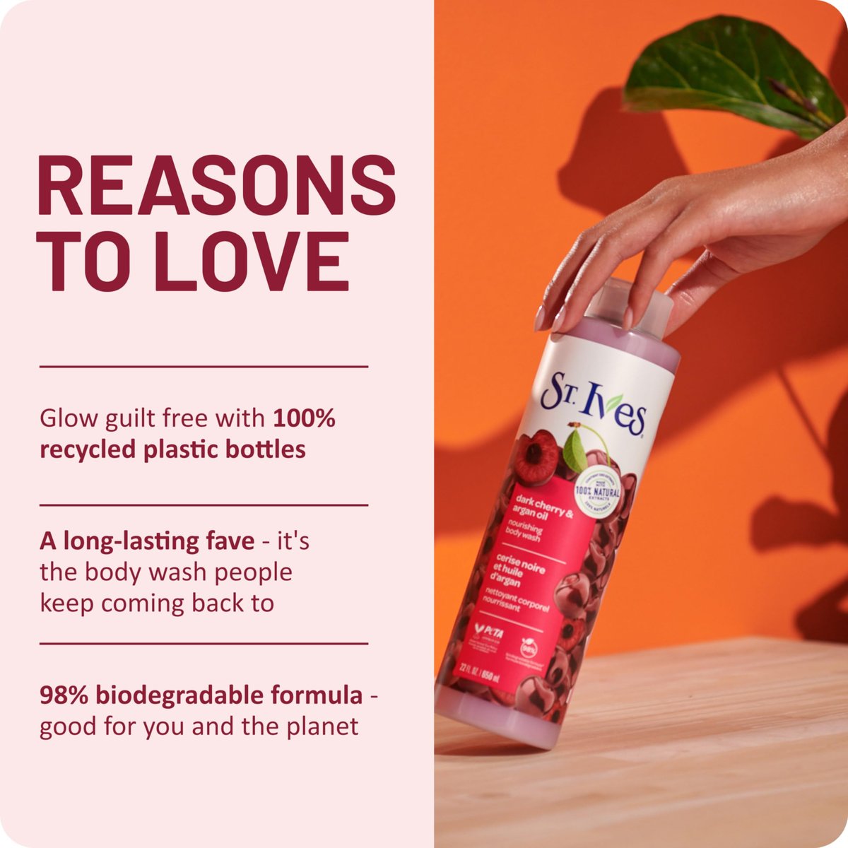 St. Ives Dark Cherry & Argan Oil Body Wash - Nourishing Body Care with 100% Natural Extracts, Moisturizing Body Soap, Daily Shower Gel Cleanser, Sweet Cherry Fragrance, 22 oz - görsel 13