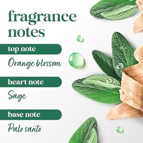 Dove Palo Santo & Sage Antiperspirant Stick – 72H Sweat & Odor Protection, Pro-Ceramide Technology, Alcohol-Free, FIFA Limited Edition Design, 2.6 oz - görsel 8