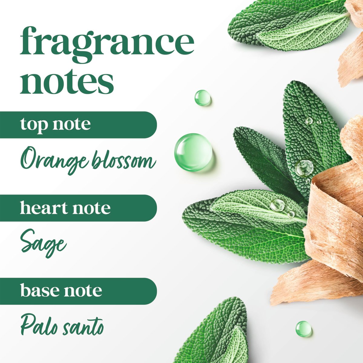 Dove Palo Santo & Sage Antiperspirant Stick – 72H Sweat & Odor Protection, Pro-Ceramide Technology, Alcohol-Free, FIFA Limited Edition Design, 2.6 oz - görsel 7