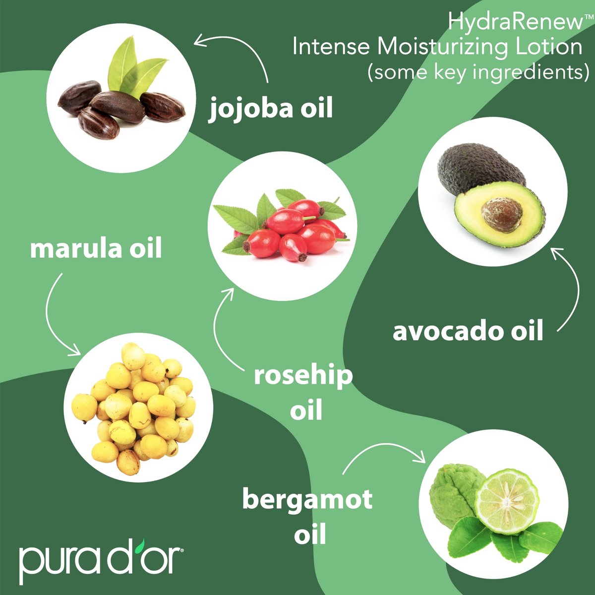 PURA D'OR HydraRenew Intense Moisturizing Lotion for Ultra Dry Skin – Hand & Body Cream with Cocoa & Shea Butters, Hyaluronic Acid, GHK-Cu Copper Tripeptide-1, Marine Collagen, Plant Stem Cells, 16 oz Avelisse