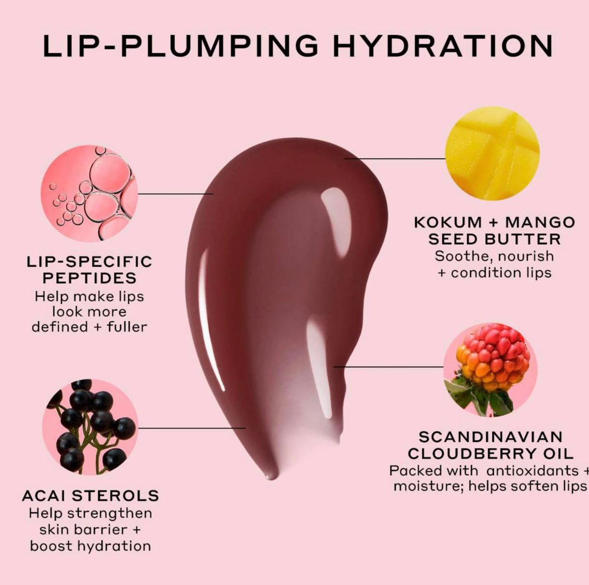 Ole Henriksen Cocoa Creme Pout Preserve Lip Peptide Treatment – Hydrating Lip Balm Avelisse