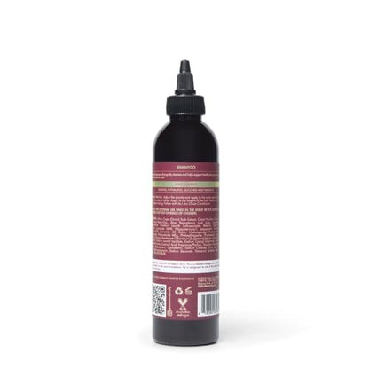 As I Am Onion Shampoo - 8 oz - Red Onion, Ceramides & Isoquercetin - Supports Healthy Hair Growth
