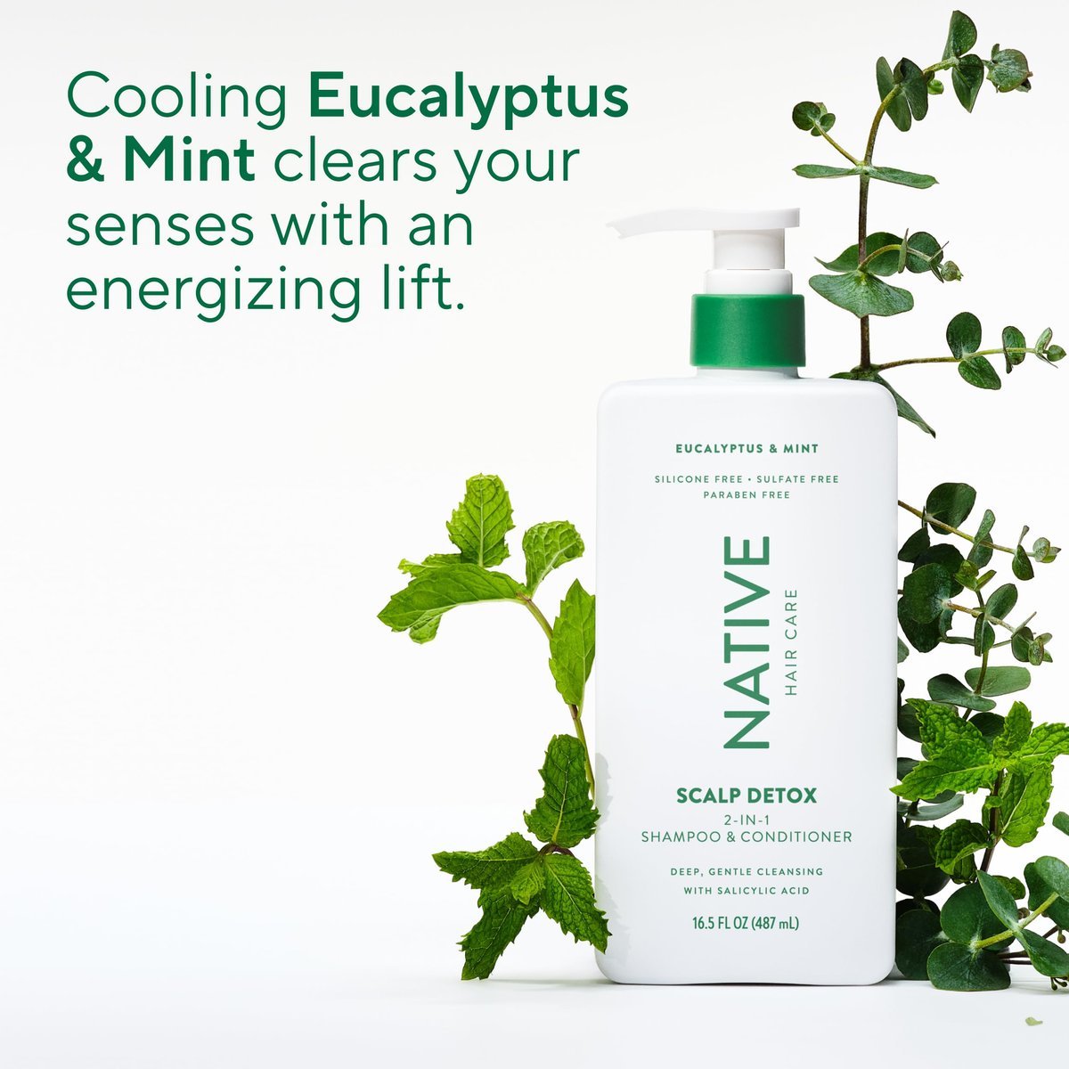 Native Scalp Detox Shampoo and Conditioner Set – Eucalyptus & Mint, Sulfate-Free, Color-Safe – 2-Pack (8.25 Fl Oz Each) Avelisse