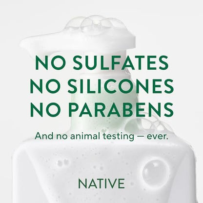 Native Scalp Detox Shampoo and Conditioner Set – Eucalyptus & Mint, Sulfate-Free, Color-Safe – 2-Pack (8.25 Fl Oz Each) Avelisse