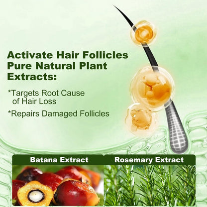 Tgideas Batana Oil & Rosemary Shampoo for Hair Growth, Formula for Thinning Hair & Reduce Hair Loss, Nourish Scalp & Add Volume, for Men & Women (Pack of 2) Avelisse