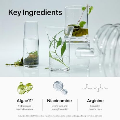 coeternal Ultra Intensive Cream – Hydrating Korean Face Moisturizer with Niacinamide, Arginine & Algae11 Extracts, Non-Greasy Barrier Cream for Dry, Oily or Sensitive Skin, 50ml / 1.69 fl.oz. Avelisse