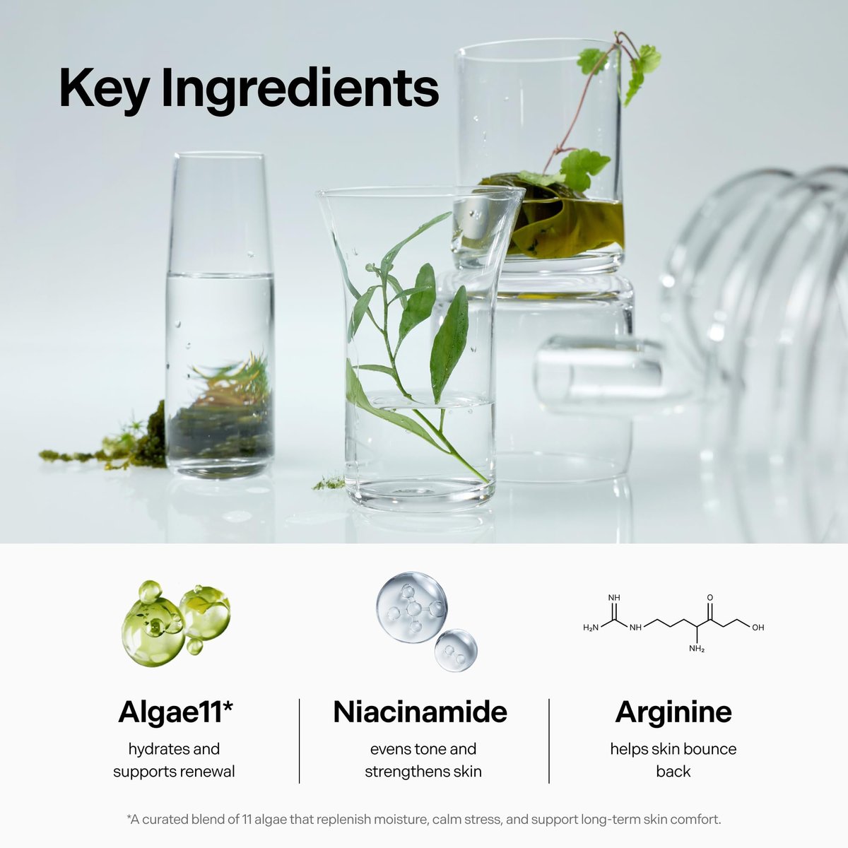 Coeternal Deep Moisture Serum – Korean Hydrating Face Serum with Algae11, Niacinamide & Arginine for Dry Skin, Barrier Repair & Glass Skin Glow, Fragrance-Free K-Beauty Skincare, 50ml / 1.69 fl.oz. Avelisse