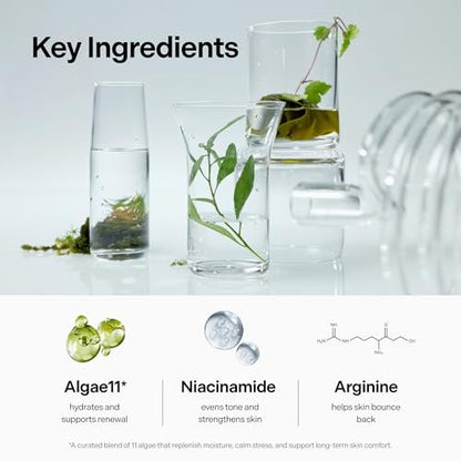 Coeternal Deep Moisture Serum – Korean Hydrating Face Serum with Algae11, Niacinamide & Arginine for Dry Skin, Barrier Repair & Glass Skin Glow, Fragrance-Free K-Beauty Skincare, 50ml / 1.69 fl.oz. Avelisse