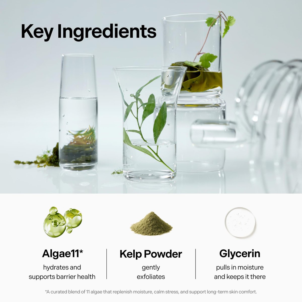 Coeternal pH Balanced Gel Cleanser - Hydrating Korean Foaming Face Wash with Algae11 & Kelp Powder, Gentle Deep Cleanser for Oily or Sensitive Skin, Non-Comedogenic K-Beauty, 100ml Avelisse