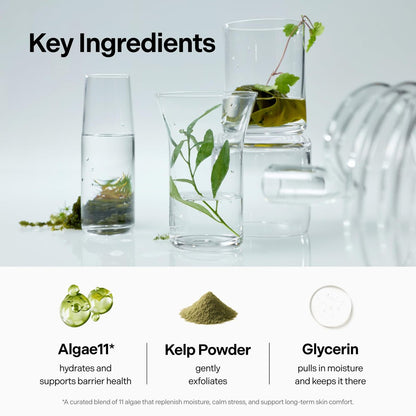 Coeternal pH Balanced Gel Cleanser - Hydrating Korean Foaming Face Wash with Algae11 & Kelp Powder, Gentle Deep Cleanser for Oily or Sensitive Skin, Non-Comedogenic K-Beauty, 100ml Avelisse