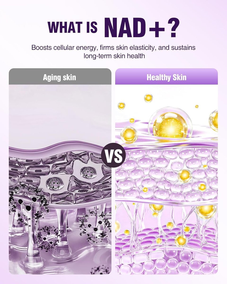 NAD+ Retinol Collagen Face Serum: Anti-Aging Peptide Serum for Tightening Skin, Reducing Wrinkles & Fine Lines, Hydrating for Radiant Glow Avelisse