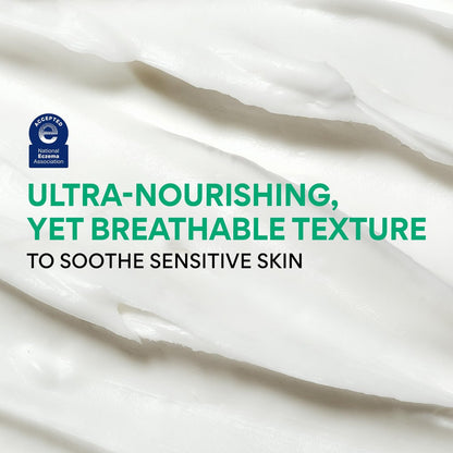 innisfree Green Tea Ceramide Cream – Hydrating Rescue Moisturizer for Dry, Sensitive & Eczema-Prone Skin Avelisse