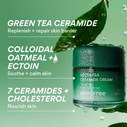 innisfree Green Tea Ceramide Cream – Hydrating Rescue Moisturizer for Dry, Sensitive & Eczema-Prone Skin Avelisse