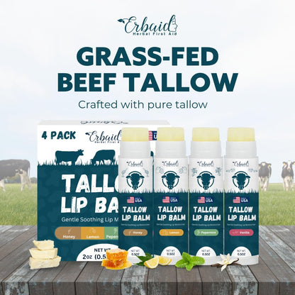 Beef Tallow Lip Balm – Natural Tallow Beeswax Chapstick – Hydrating Grass Fed Beef Tallow Honey Balm Lip Care – Soothes Chapped Dry Sensitive Lips – Long Lasting Vitamin Rich USA-Made Variety Pack Avelisse